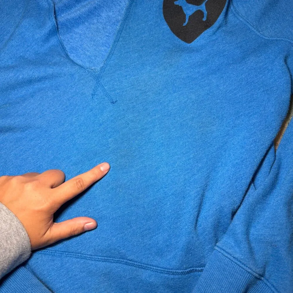 2010 Vs Pink pullover